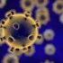 人体免疫系统如何防止病毒的入侵！你想知道的都在这里！
