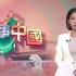 TVB新闻-香港报道酱香拿铁破纪录
