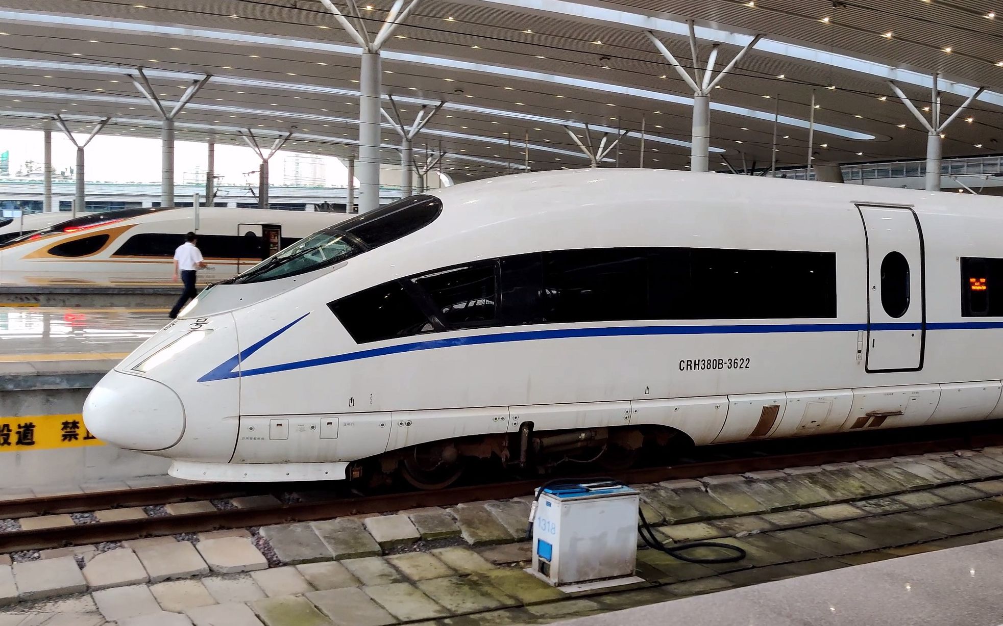 【铁路随拍】杭州东站晚点候车站台随拍 crh380b/cr