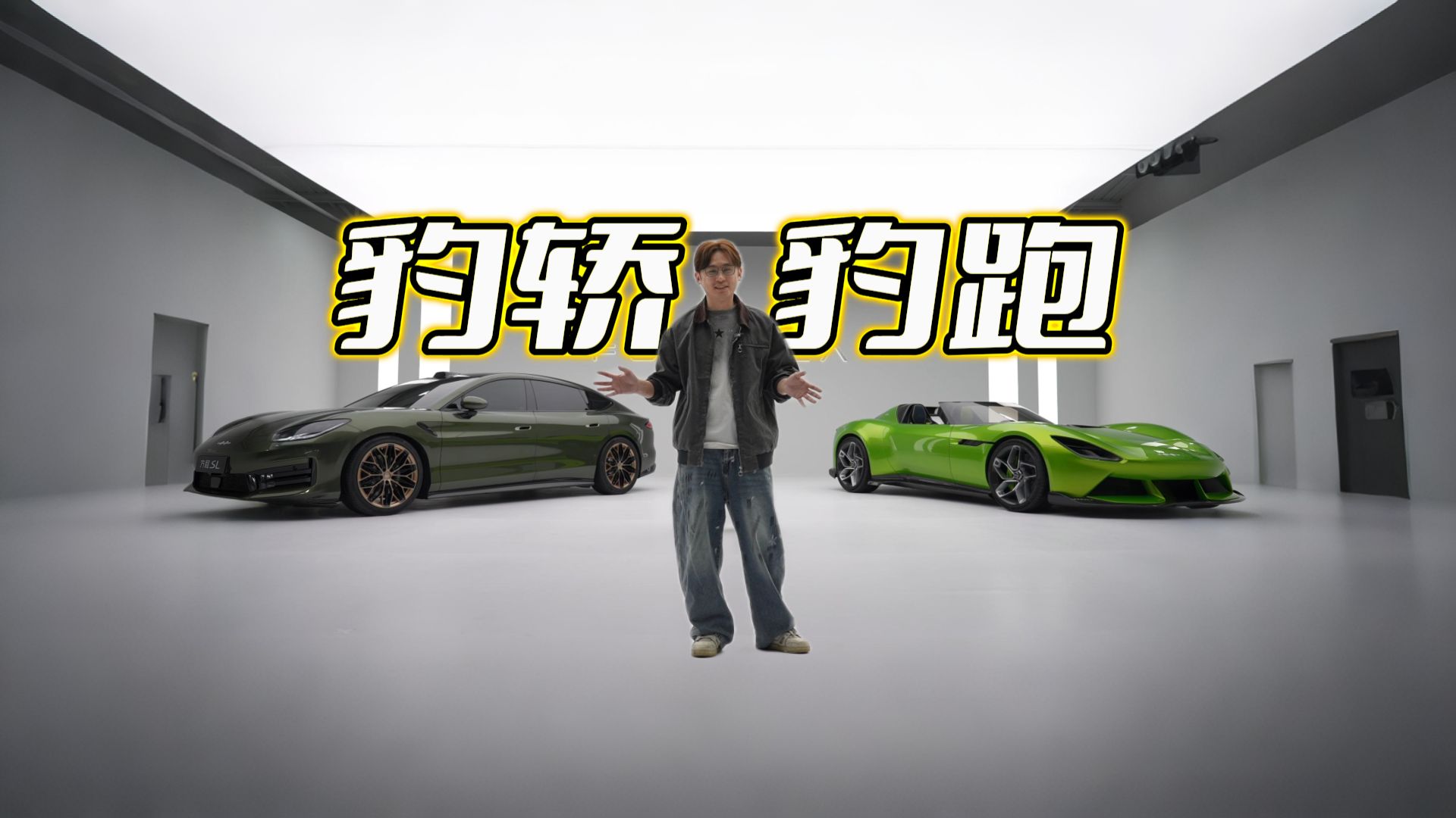 方程有解，猎豹难训