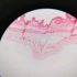实验室显微镜下观察小肠切片和复层扁平上皮