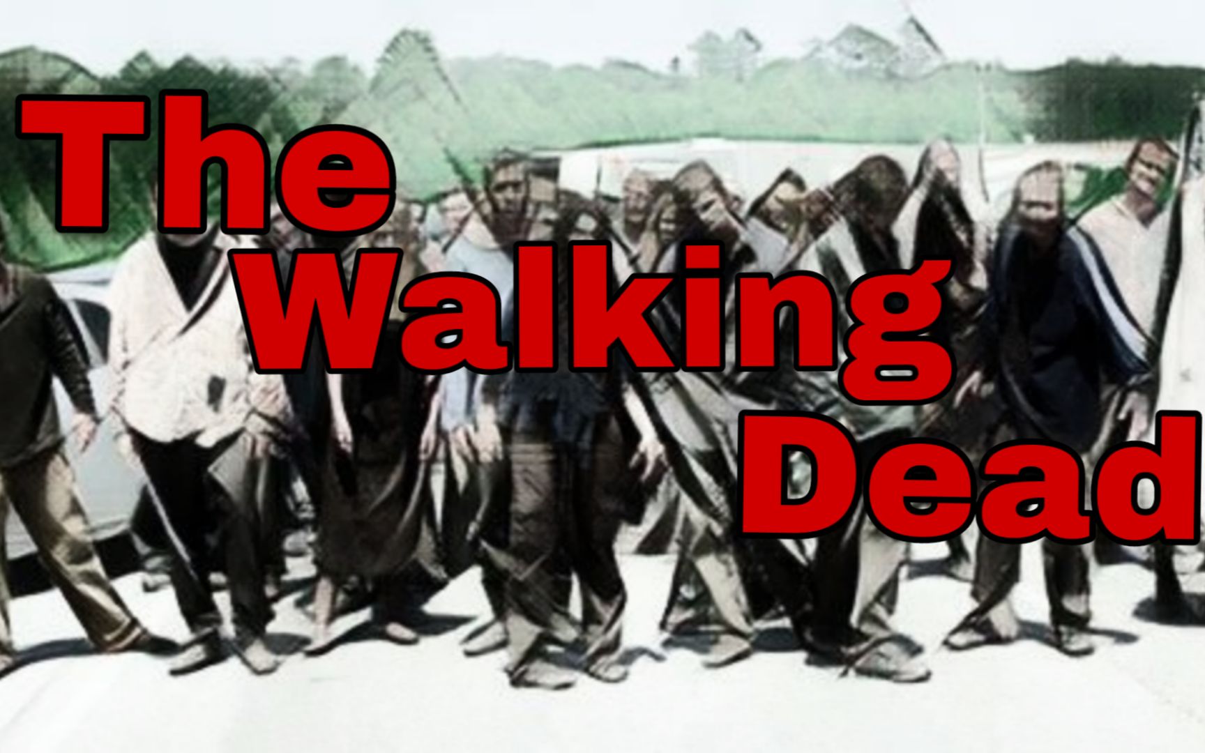 【the walking dead】合集
