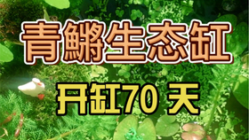 b47aa85ec7c9058e4f3ca6e4b5e0666f26fb524c.jpg@280w_158h_1c_100q.jpg