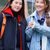 应采儿袁咏仪：我和我的冤种闺蜜