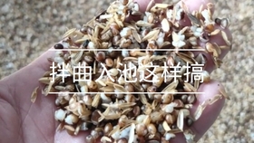 b481f58ee60d2de0fb2e19b86d7384163d3ca273.jpg@280w_158h_1c_100q.jpg