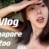 旅行Vlog | 我终于见到大熊猫啦！！ | 新加坡动物园&河川生态园一日游