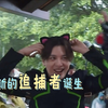 徐海乔儿  这是谁家的猫猫🐱成精啦🤩，可爱死了