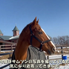 发现游客就会主动凑近的天空深处/ディープスカイ