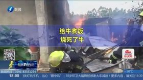 夏天穿棉袄还冷 b4dd588f35a0808a88534aabdeca02823bbde620.jpg@280w_158h_1c_100q.jpg