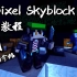【Minecraft Hypixel SkyBlock】新手教程#1 菜单de介绍