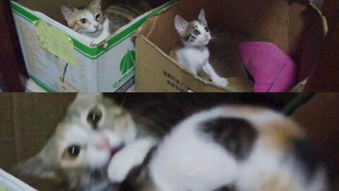 b50b3524c0e1419e88c5a6167fe01c71d87f018c.jpg@480w_270h_1c