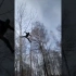 俄大学生为上网课爬8米大树找信号