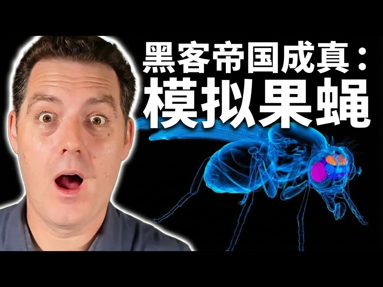 【中配】这只果蝇证明了我们生活在模拟世界中吗？ - Matthew Berman