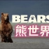 【纪录片】熊世界/阿拉斯加的棕熊 (2014)中英双语字幕 纪录一个棕熊家庭在一年四季变换中的生活点滴