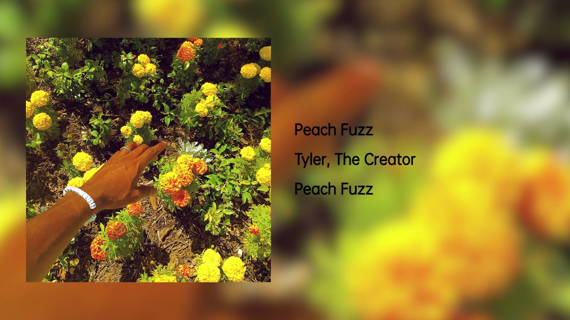 Tyler, the Creator 补完计划】(Ep42）Peach Fuzz-哔哩哔哩