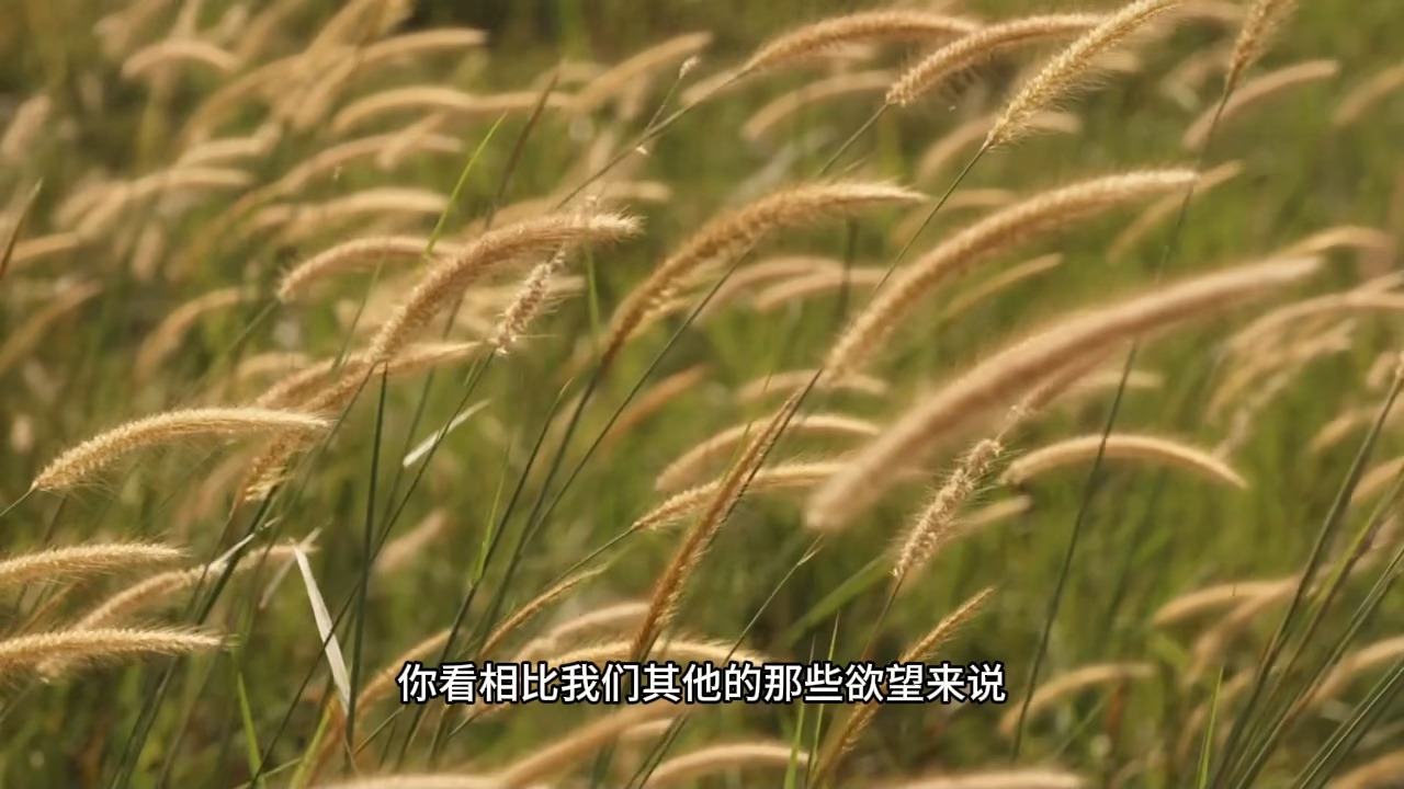 说给内在那个你听的一些话：我们的生命没有任何问题！世上本无事，庸人自扰之！