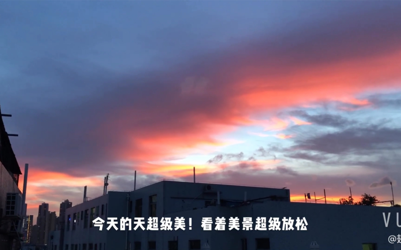 无业游民日常(七)_哔哩哔哩_bilibili