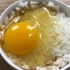 小伙挑战日本生鸡蛋拌饭，是黑暗料理还是人间极品？
