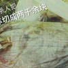 我国著名碎尸案：凶手杀人后将尸体切成两千余块并煮熟，抛尸在闹市区