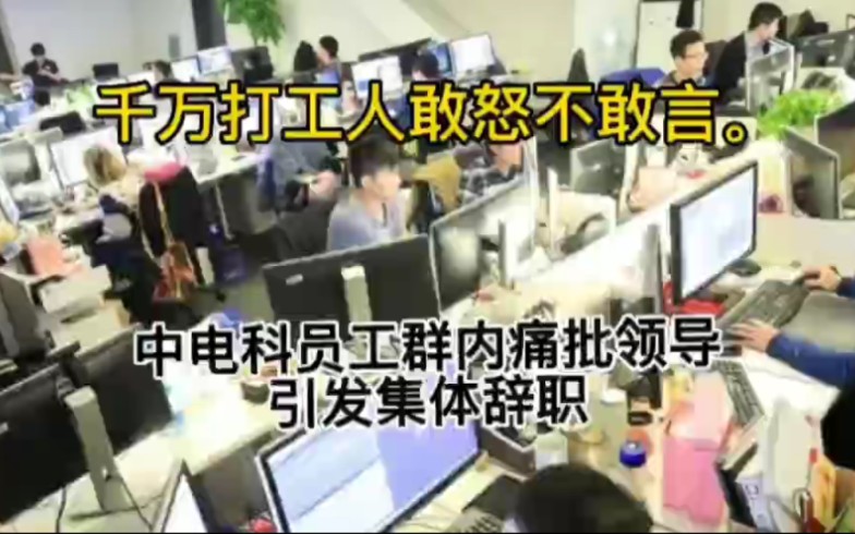 千万打工人敢怒不敢言.中电科员工群内痛批领导.引发集体辞职哔哩哔哩bilibili