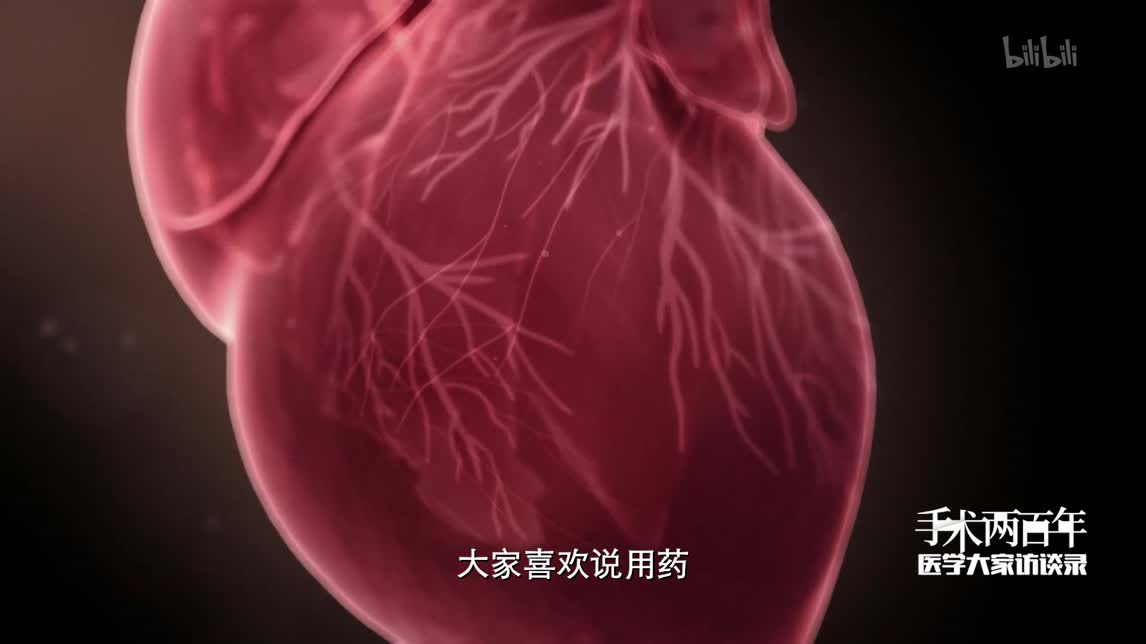 【纪录片】《手术两百年之医学大家访谈录》张澍 ——失常的心脏