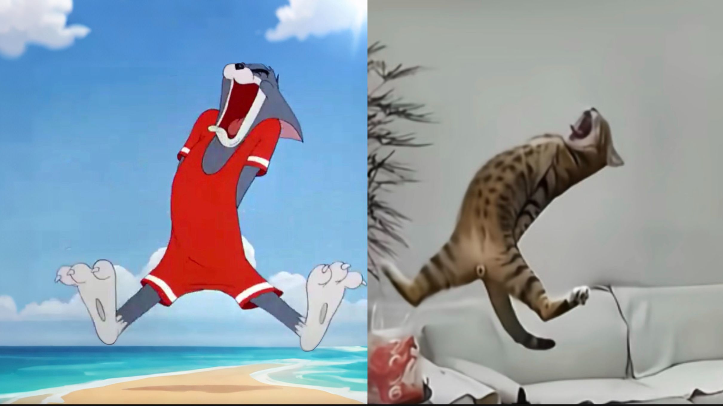 《猫和老鼠还在疯狂上分》