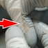 为什么NASA给宇航员的手套，使了一年全破了？