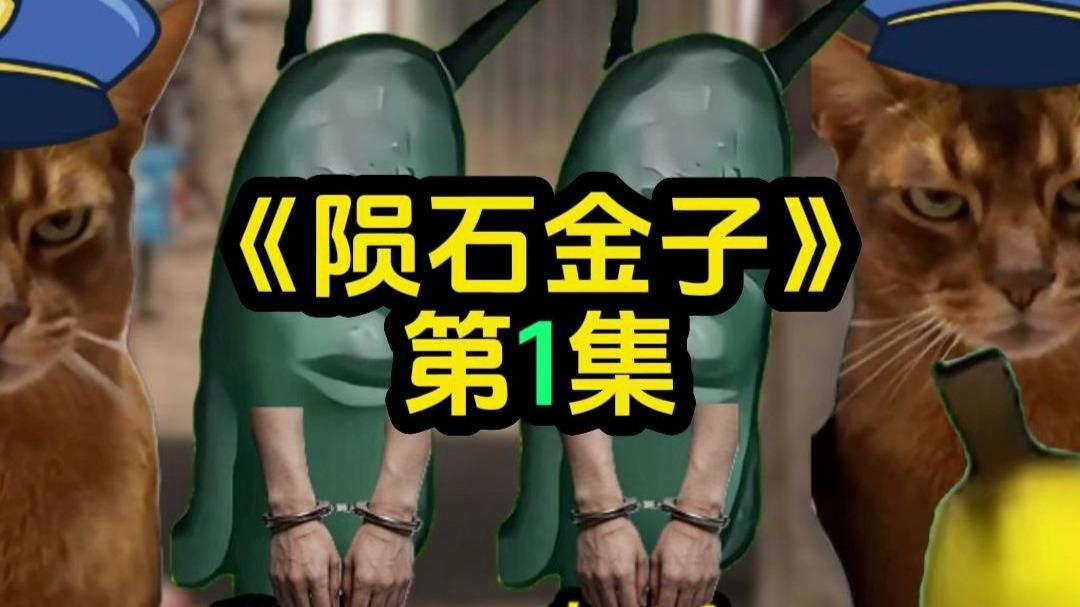 陨石金子1