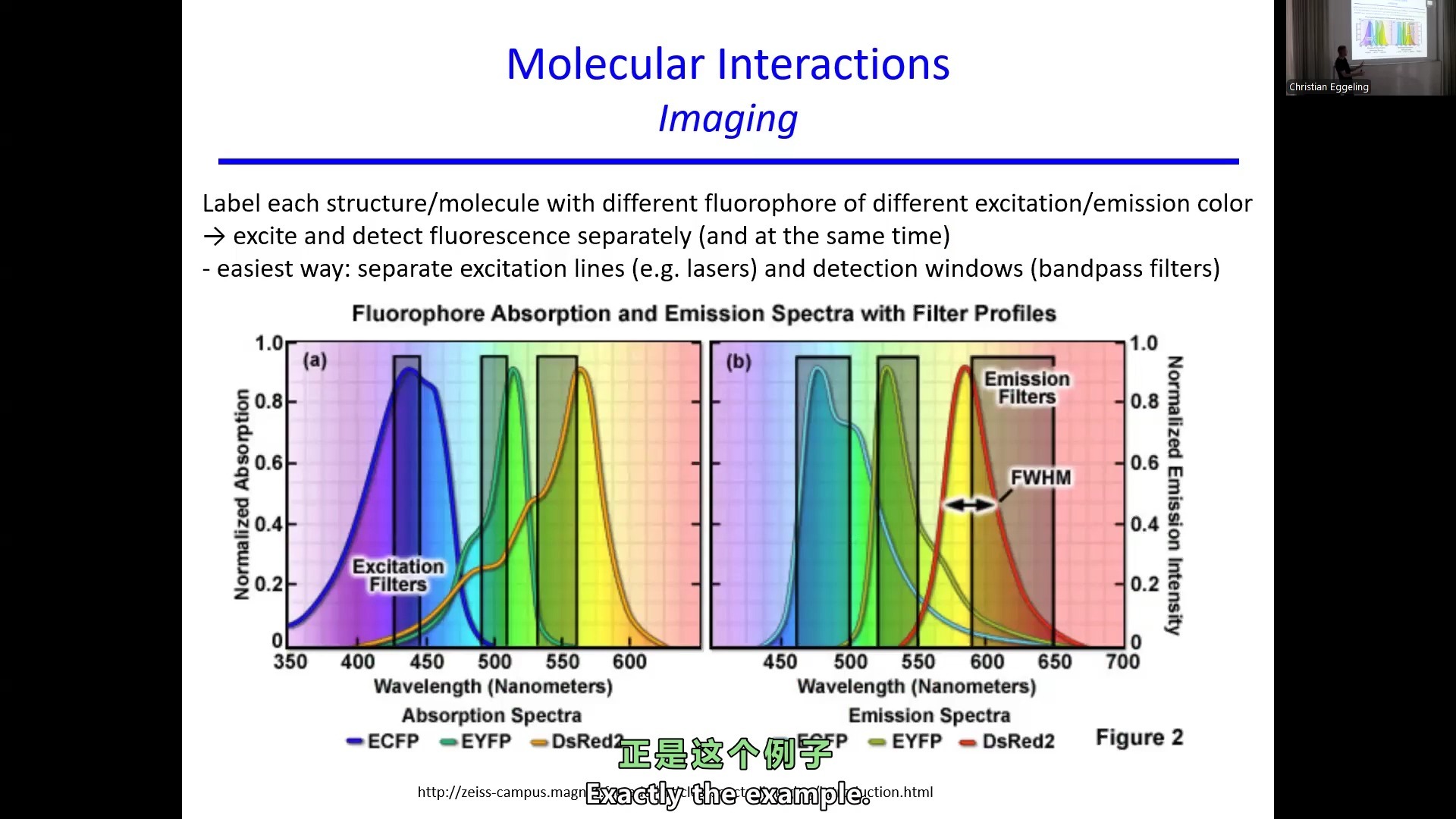 further-optical-microscopy 9