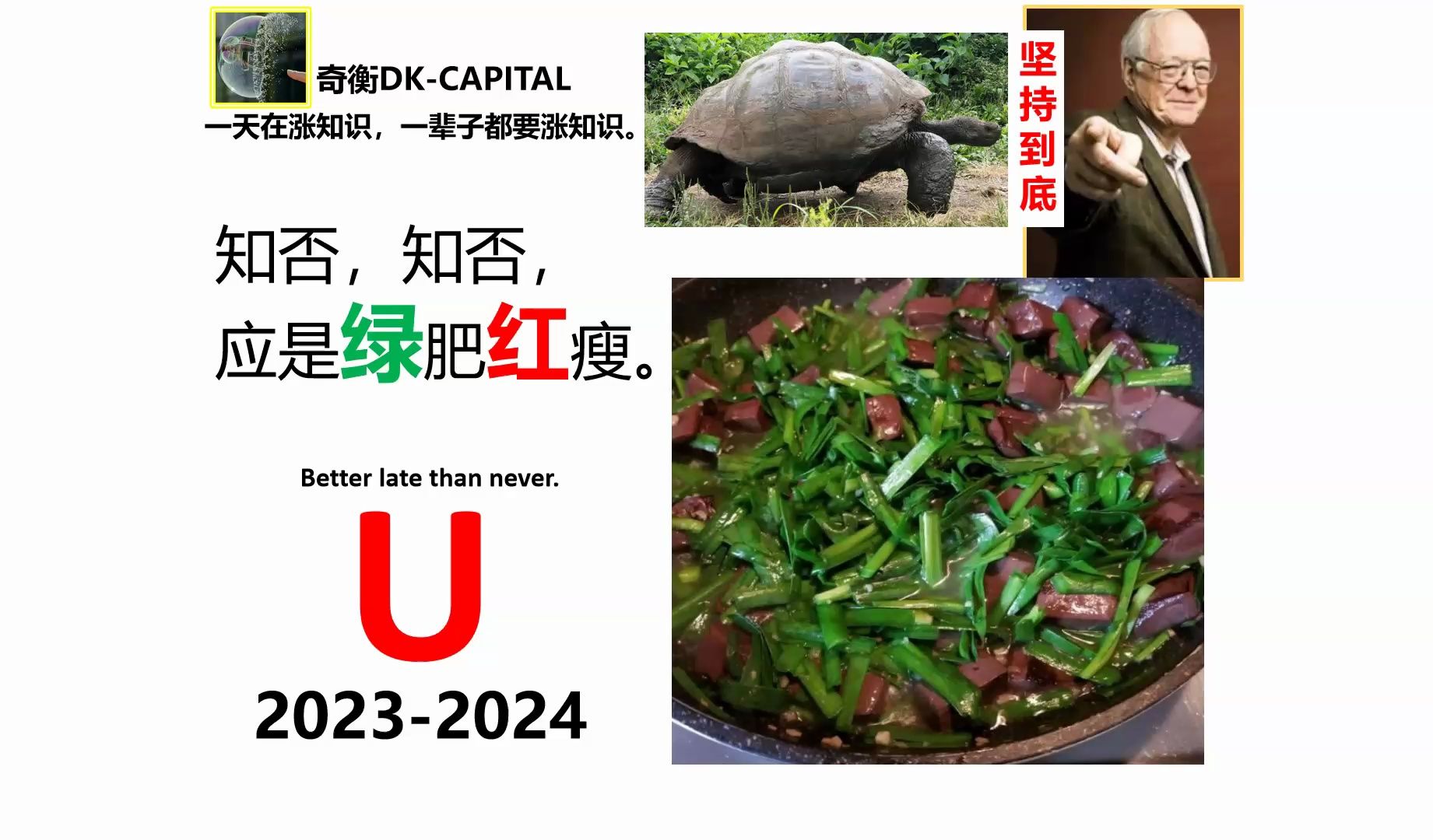 知否知否，应是绿肥红瘦【奇衡DK涨知识2024】