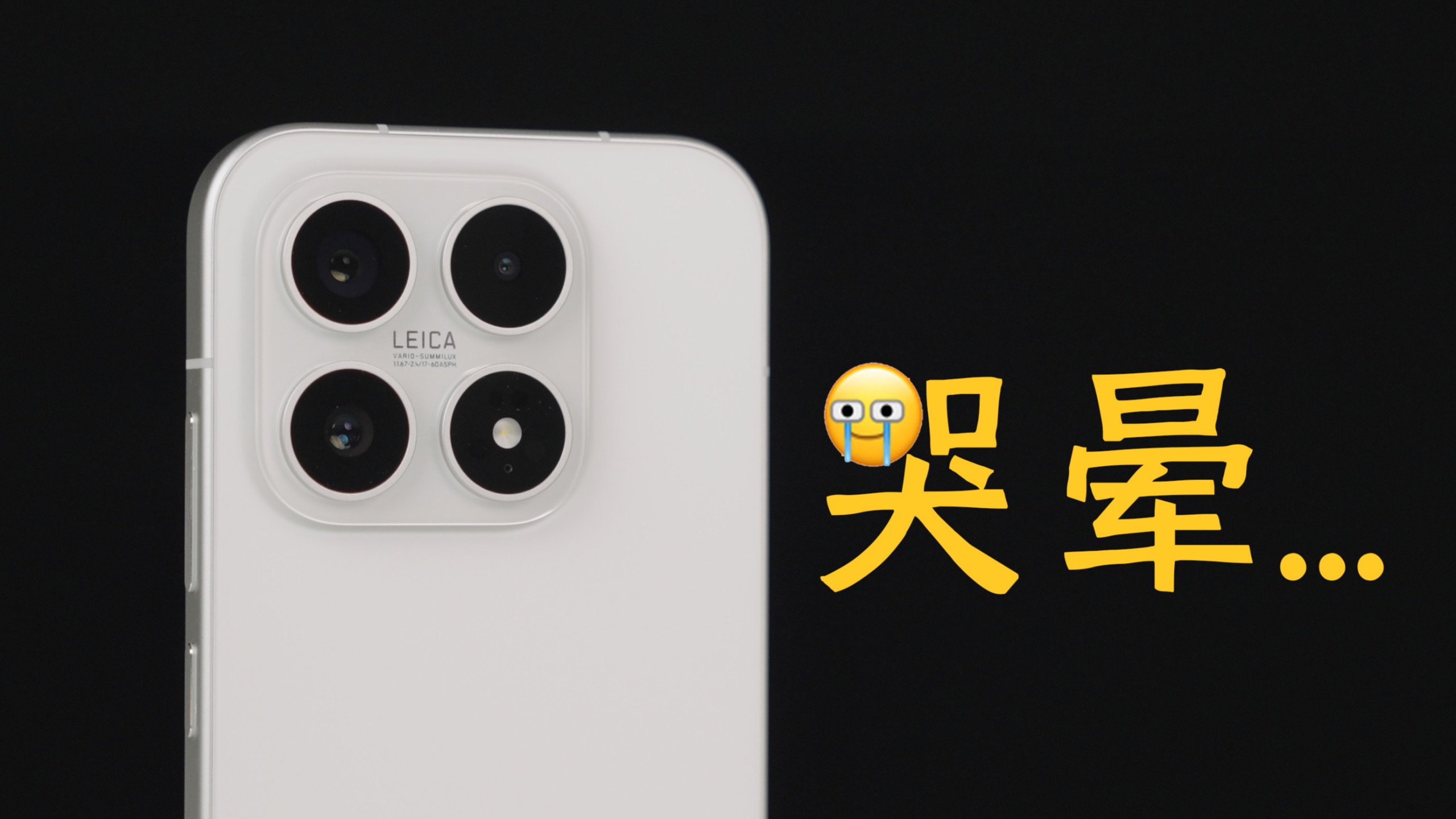 小米17沦为牛夫人？标准版该何去何从