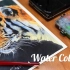 【水彩进阶】如何表现老虎的威严和通透的光色