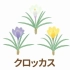 近二十种花卉的日语说法