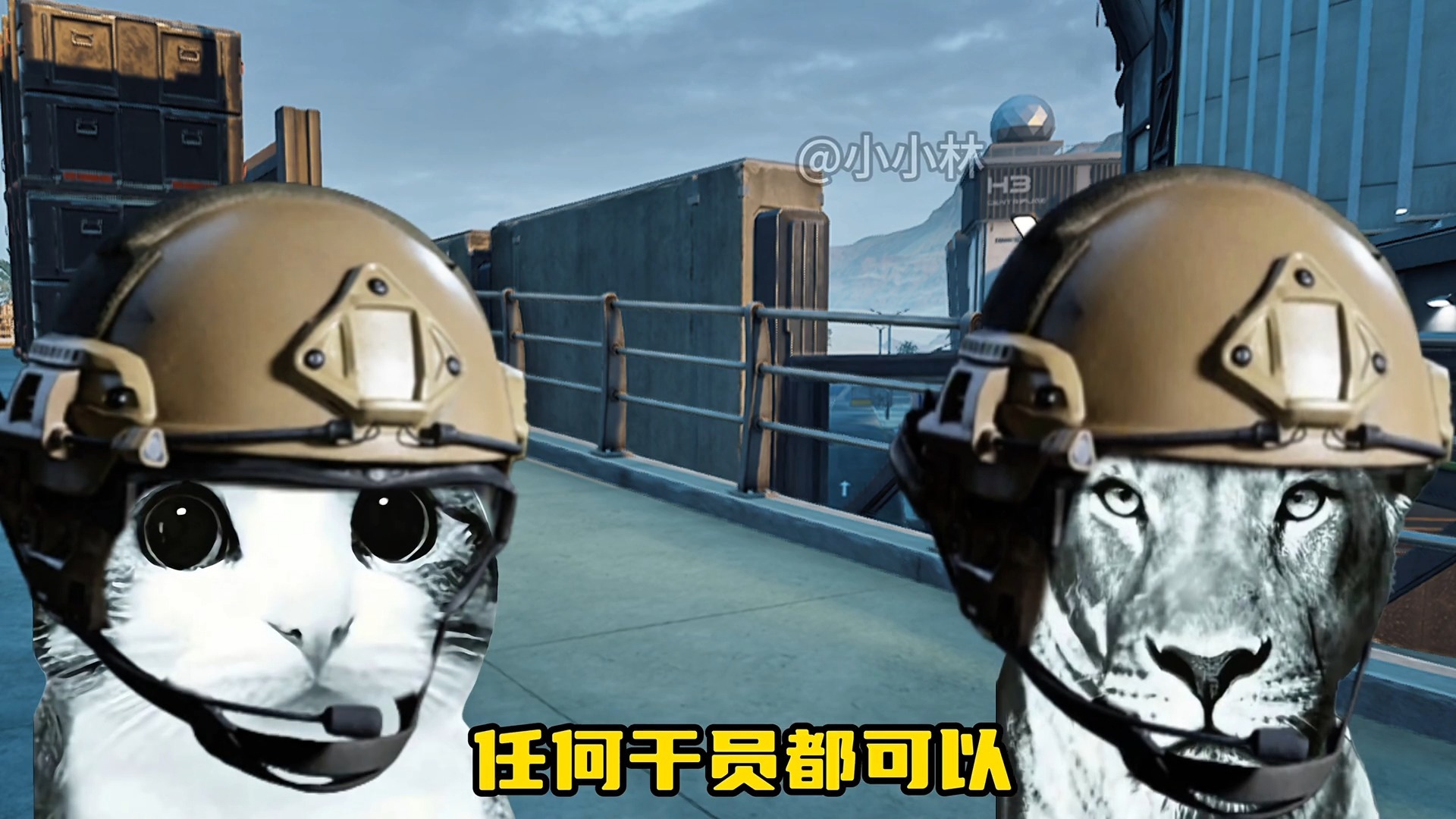 鼠兄能不能换个小点的背包--温暖新春-狮子和小猫-鼠兄-三角洲行动