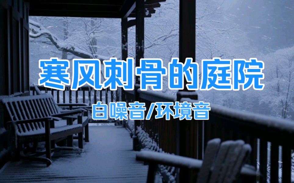 【白噪音/环境音】 感受寒风刺骨的冬季暴雪氛围 1小时冰冷听觉感受 （适合夏季助眠 放松 看书 等）