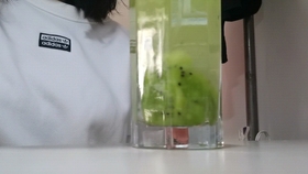 b66d3eea8bc0c0fdf062333b33b721e6f231b162.jpg@280w_158h_1c_100q.jpg