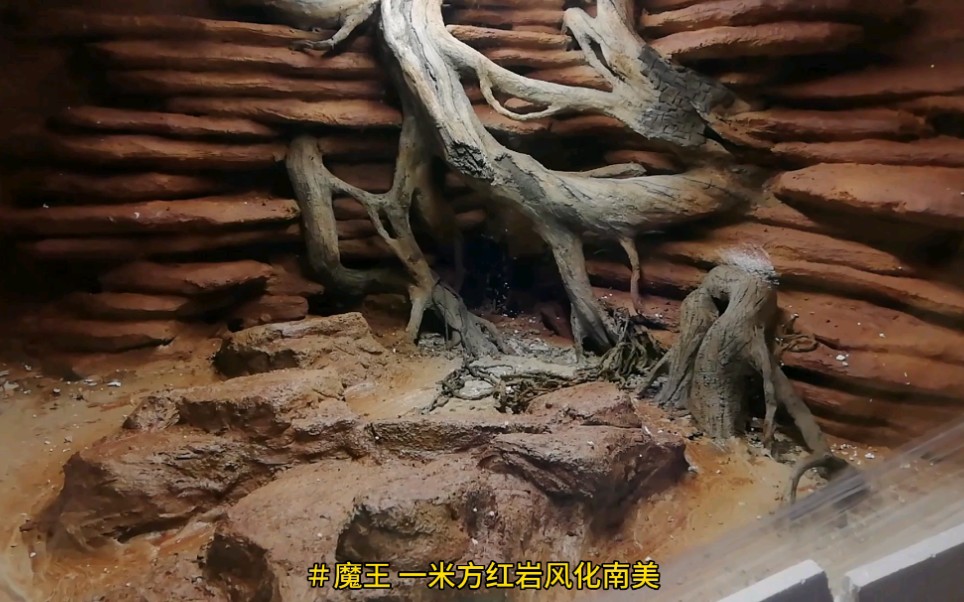 魔王造景一米方缸仿风化岩树桩类型造景