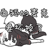 【有栖マナ】刚睡醒的黑白狐
