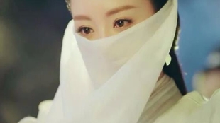石楠小札简谱_红叶石楠(3)