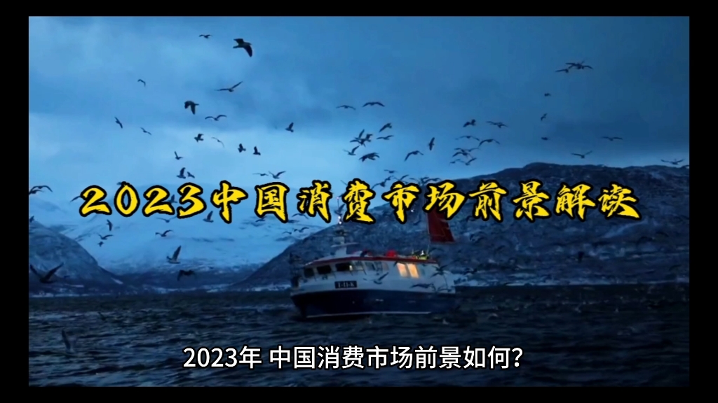 2023中国消费市场前景解读哔哩哔哩bilibili