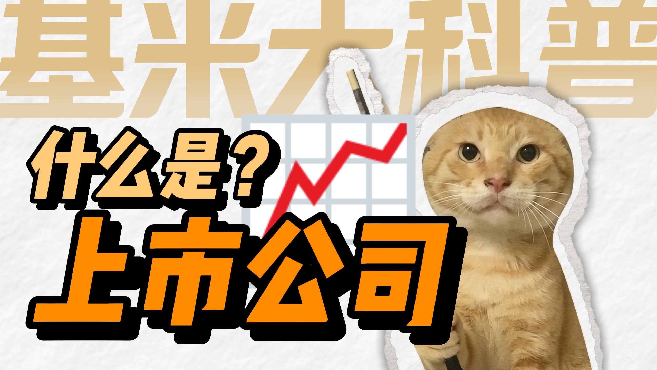 什么是上市公司？