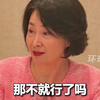 外国游客投诉中国支付不方便，何超琼：他们在投诉我们先进，教会他们就行了