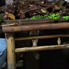 范小勤