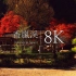 【8K风景】香岚溪的红叶绝景 解压-治愈-工作学习背景音-清晨叫醒-夜晚助眠