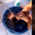 【给水獭洗澡】泰国人家的宠物，真会玩，水獭洗的好享受~@梦之安魂曲