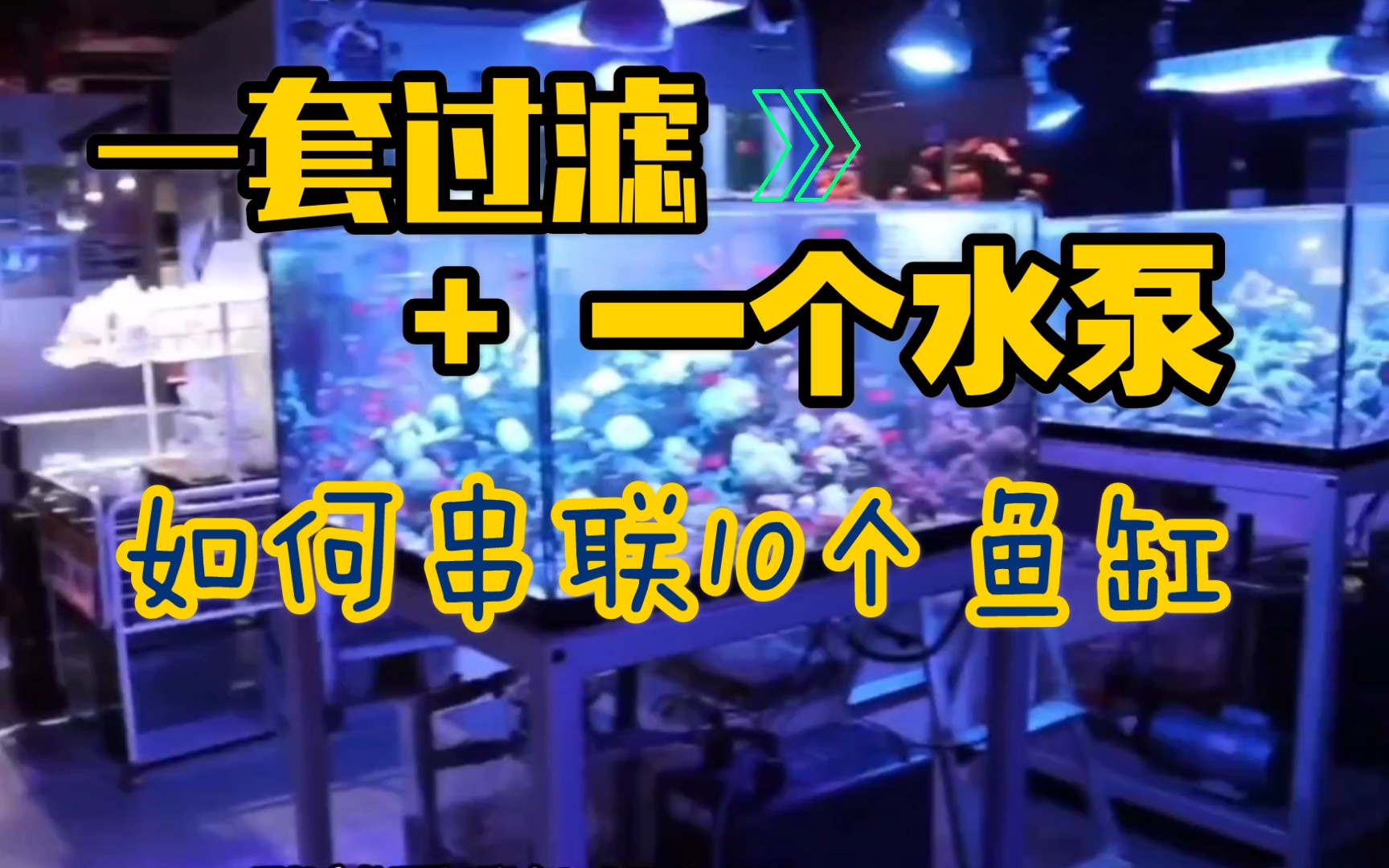 一套过滤+一个水泵，如何串联10个鱼缸?DIY自制排缸，组缸，系统鱼缸！既省钱又省空间的鱼缸设计！（中）