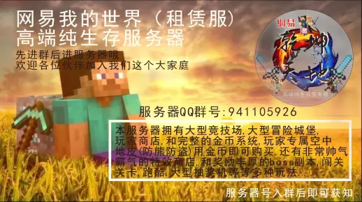 我的世界网易版d服指的是哪种服务器类型？