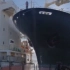 保护组织对抗捕鲸船