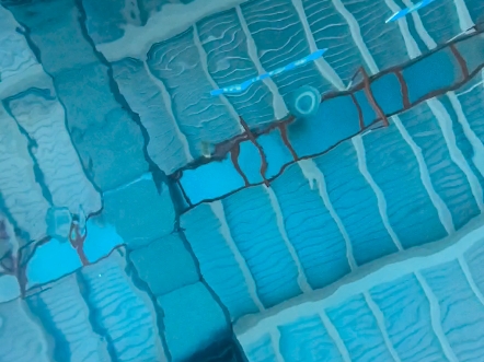 【壮壮薄荷仔】Up主探索中，欢迎收看求三连！