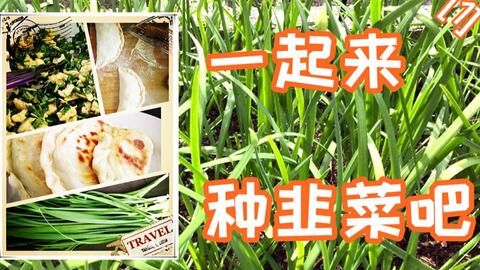 b72d3a7c47f3d13ee8f4ba6ad7358743e90a9c52.jpg@480w_270h_1c